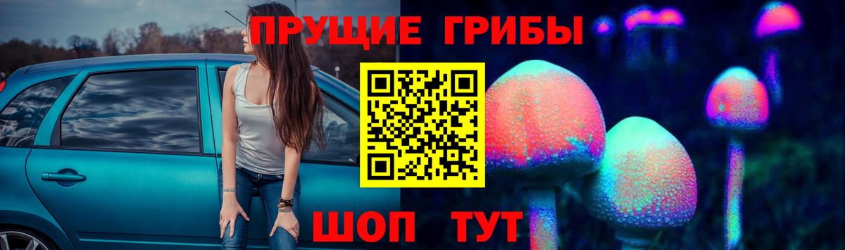 Химки  Псилоцибиновые грибы прущие грибы  Псилоцибиновые грибы ЛСД  Вход с VPN 